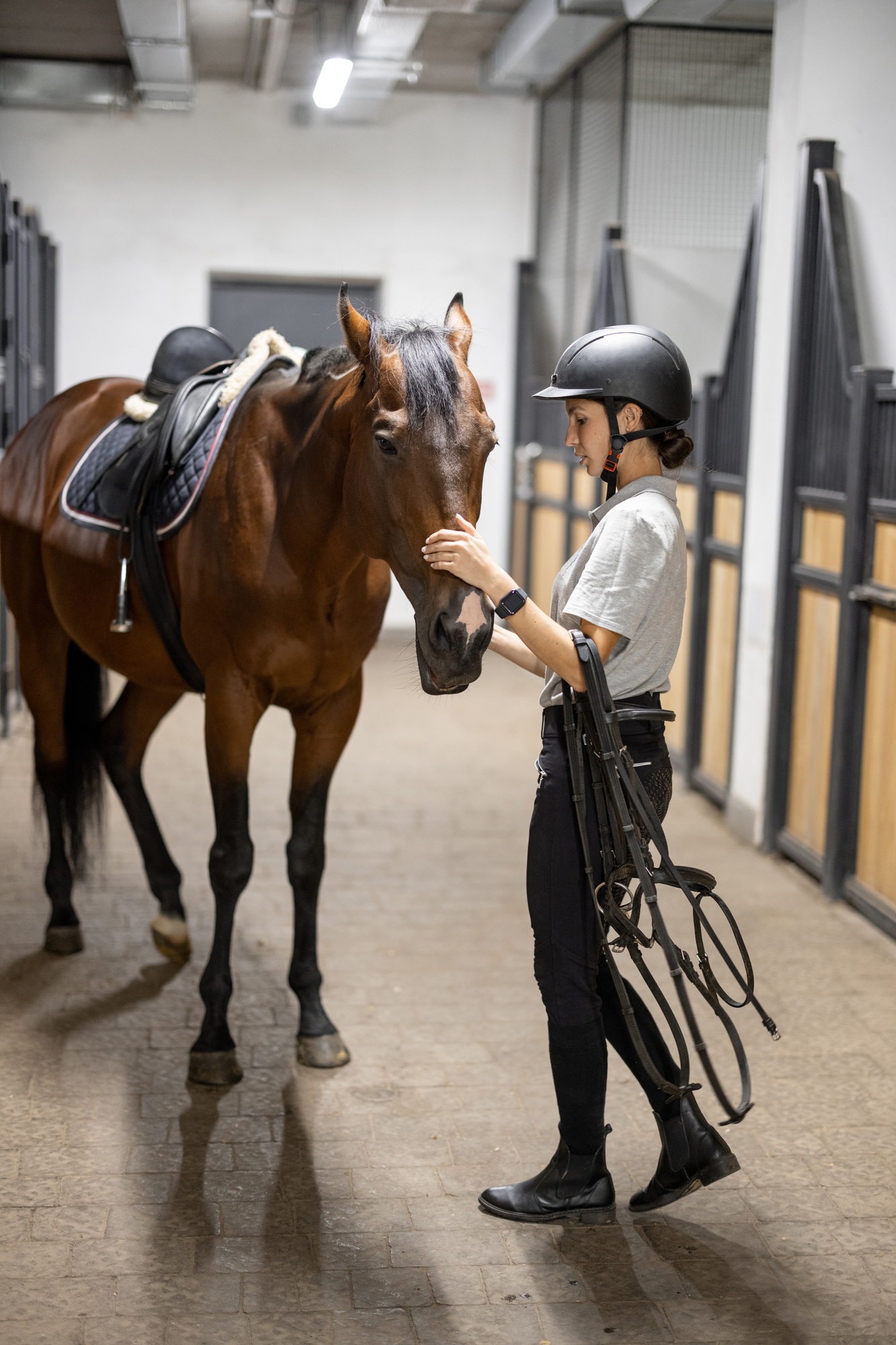 Cavalière avec son cheval pur-sang brun en écurie.