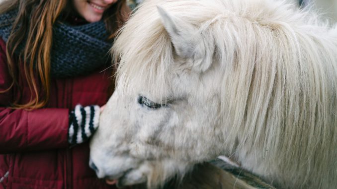 cheval