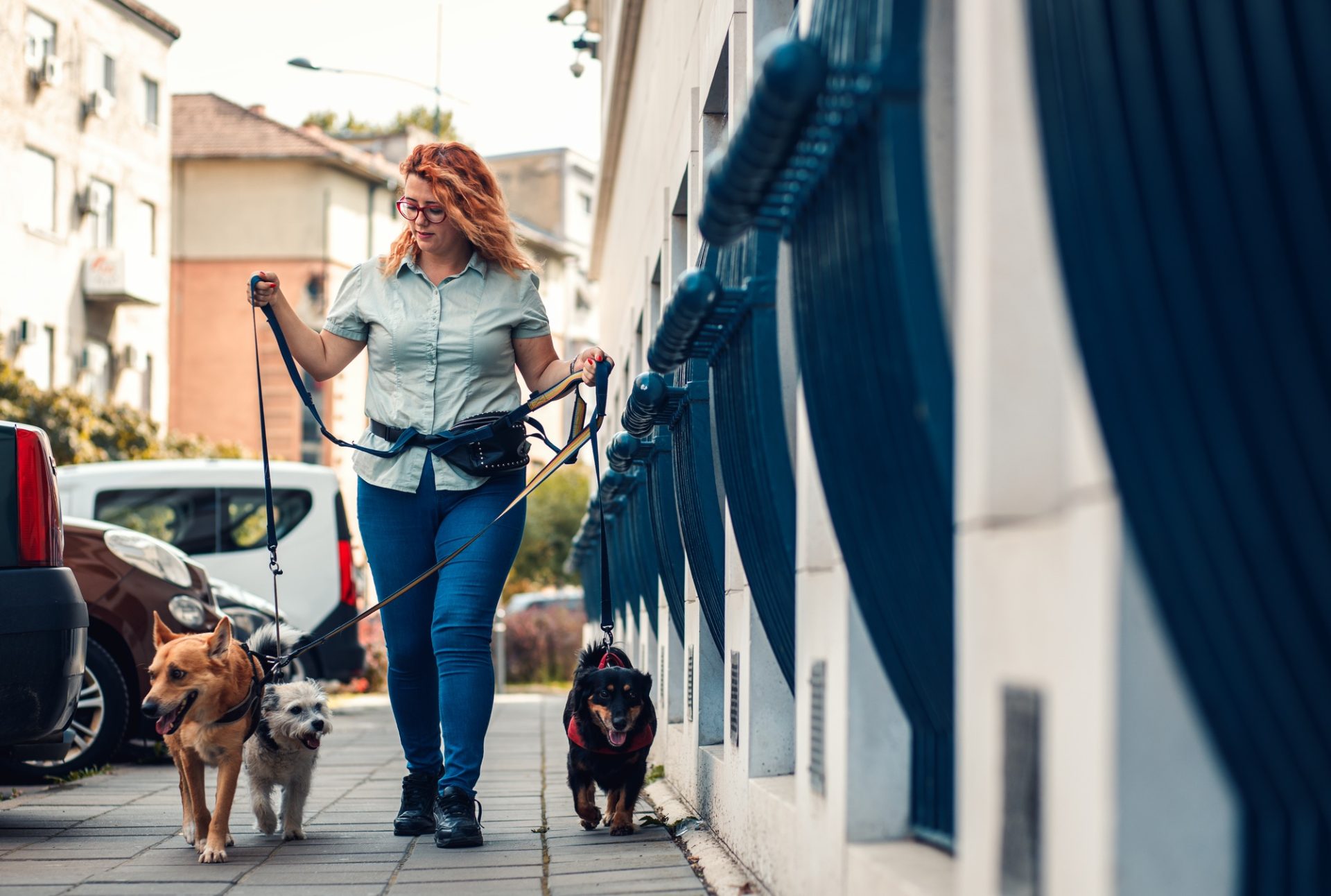 Femme Walker avec des chiens appréciant la promenade en ville.
