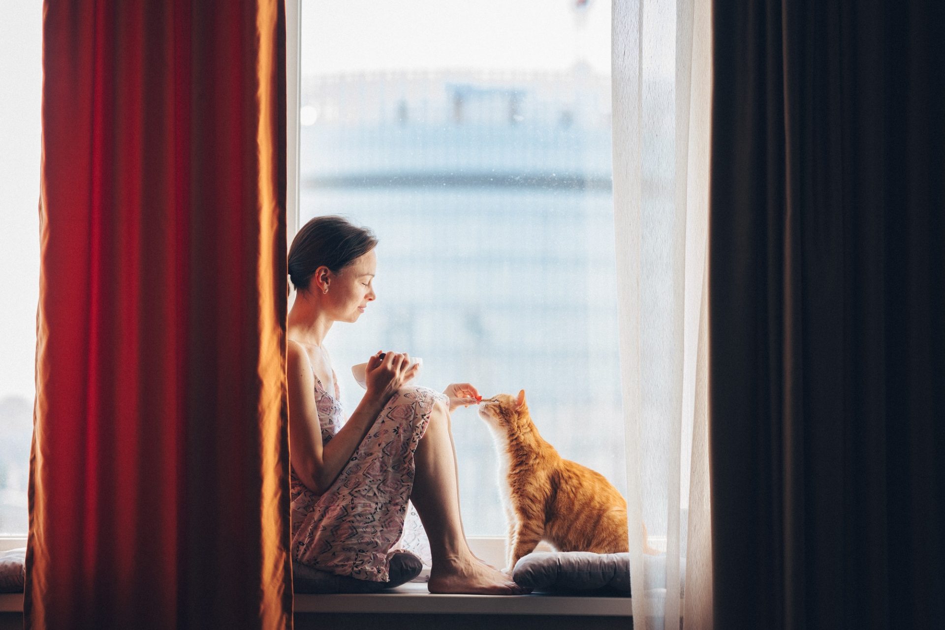 Jeune fille avec un chat rouge à la fenêtre à la maison