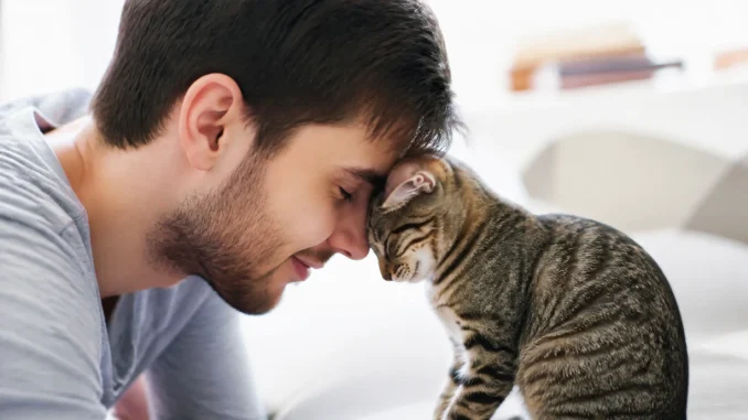 Comment un chat dit « je t’aime » à son maître ?